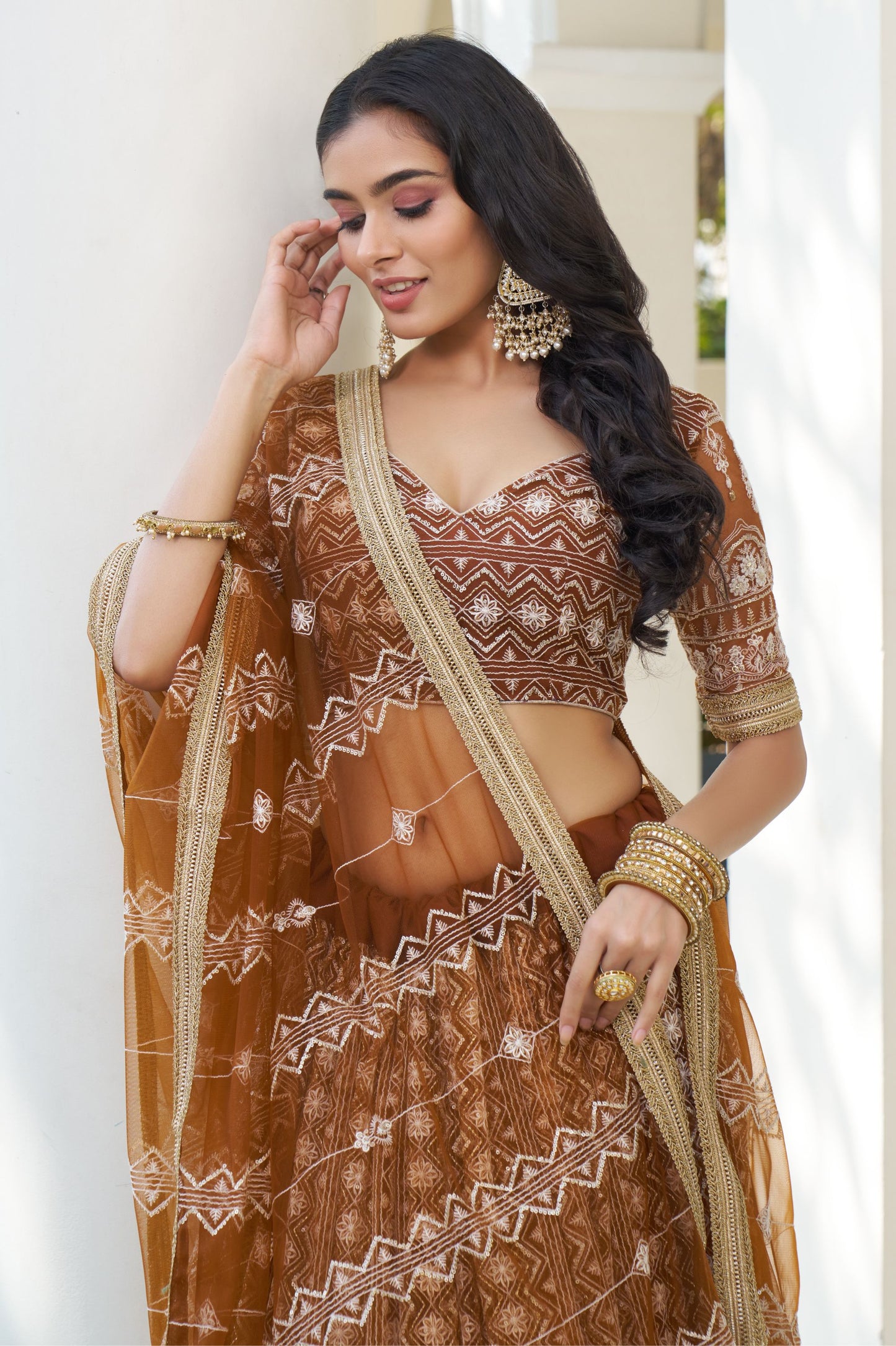 Brown Net Embroidered Lehenga Choli For Indian Festival & Weddings - Thread Embroidery Work, Sequence Embroidery Work