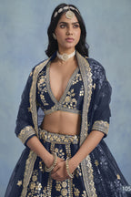 A waist-up front view shows a woman in a navy blue embroidered lehenga choli for reception with a V-neck embroidered blouse and net dupatta.