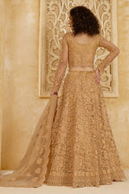 Golden Brown Net Lehenga Choli For Wedding Guest in Indian Festivals & Pakistani Weddings Dress - Thread Embroidery Work, Stone Work