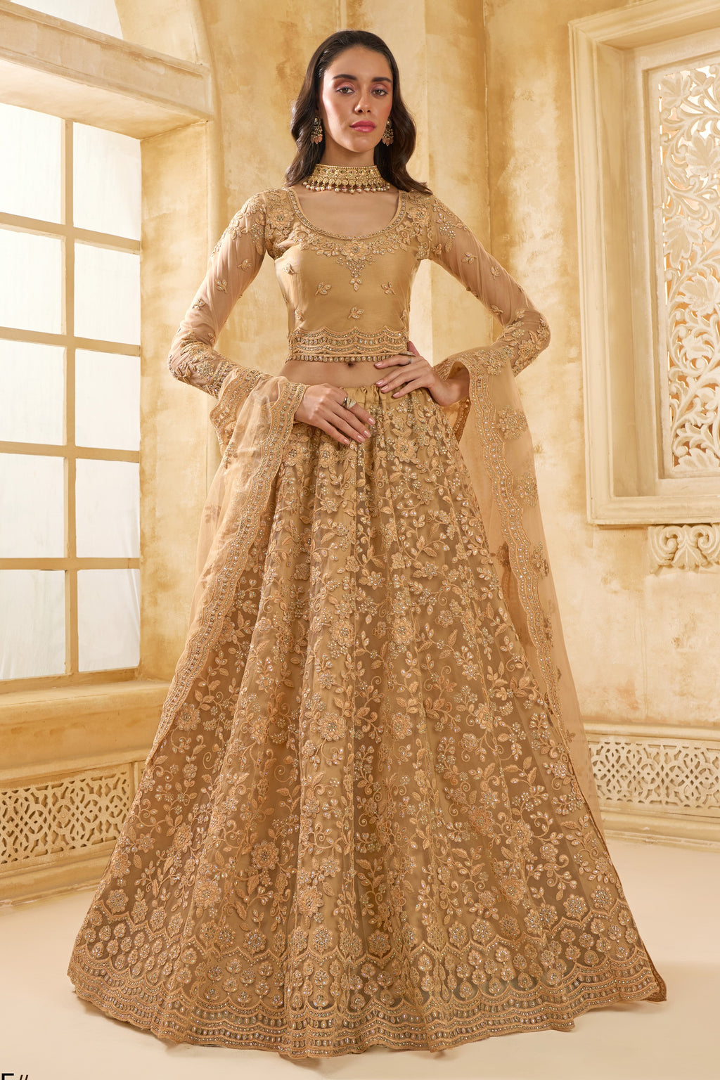 Golden Brown Net Lehenga Choli For Wedding Guest in Indian Festivals & Pakistani Weddings Dress - Thread Embroidery Work, Stone Work