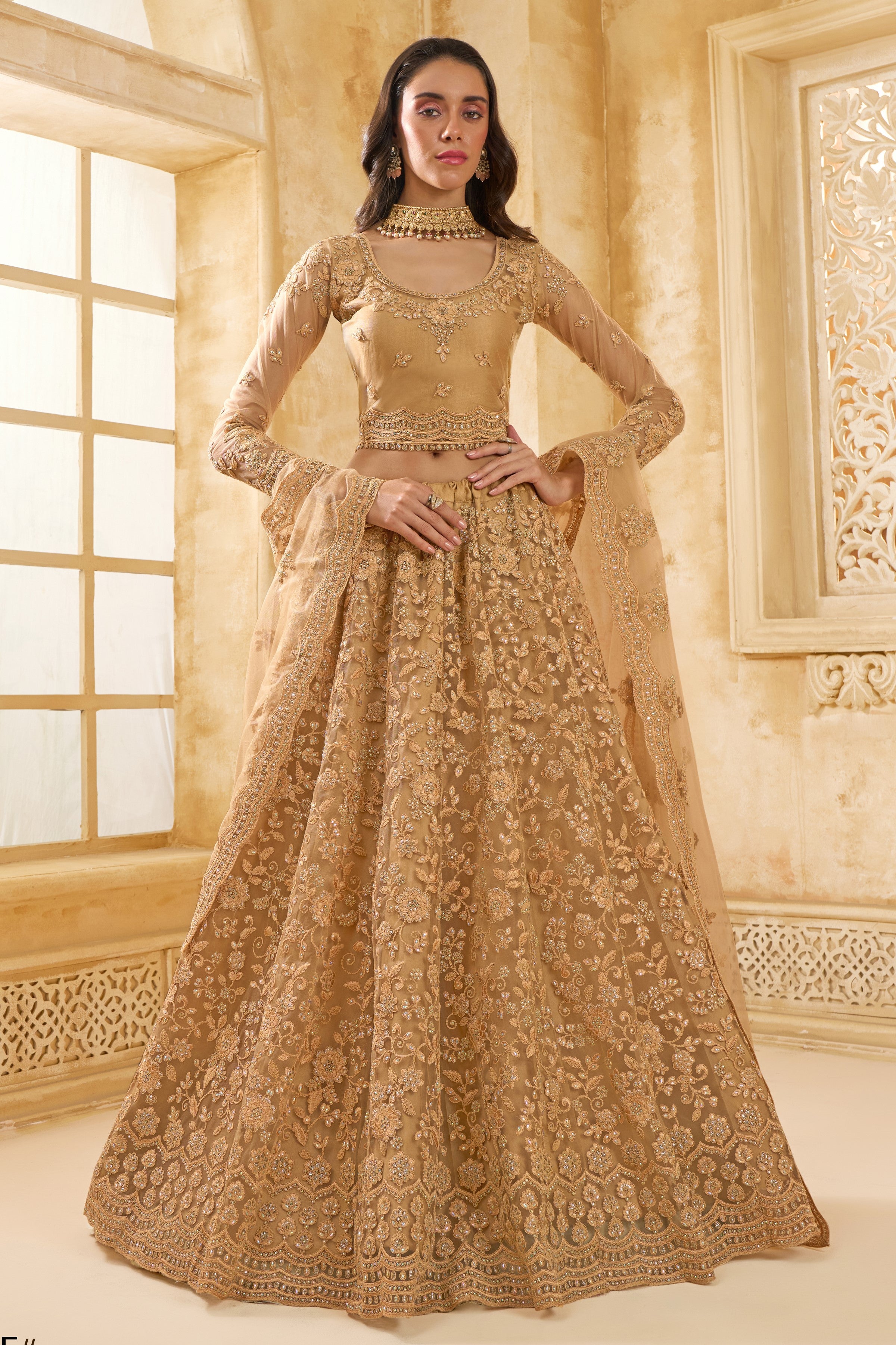 Golden Brown Net Lehenga Choli For Wedding Guest in Indian Festivals & Pakistani Weddings Dress - Thread Embroidery Work, Stone Work