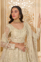Off White Net Lehenga Choli For Wedding Guest in Indian Festivals & Pakistani Weddings Dress - Thread Embroidery Work, Stone Work