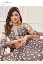 Light Brown Net Embroidered Lehenga Choli For Indian Festival & Weddings - Embroidery Work