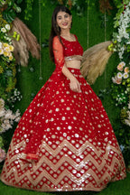 Red Folder Mese Lena He Reception Lehenga Choli with Zari Work