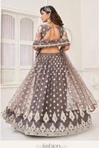 Light Brown Net Embroidered Lehenga Choli For Indian Festival & Weddings - Embroidery Work