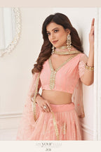 Peach Net Embroidered Lehenga Choli For Indian Festival & Weddings - Embroidery Work