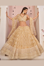 Beige Net Lehenga Choli For Indian & Pakistani Wedding Festival - Zari Work, Sequins & Thread Embroidery Work
