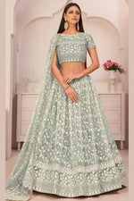 Greenish Grey Net Lehenga Choli For Indian & Pakistani Wedding Festival - Thread & Sequins Embroidery Work, Zari Work
