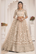 Beige Net Lehenga Choli For Indian & Pakistani Wedding Festival - Zari Work, Thread & Sequins Embroidery Work