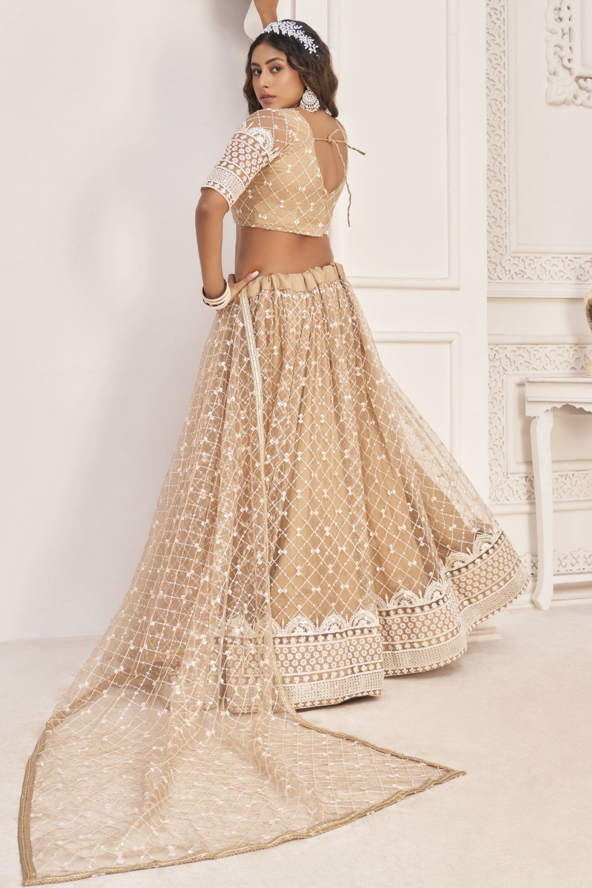 Beige Net Lehenga Choli For Indian & Pakistani Wedding Festival - Sequence Embroidery Work, Thread Embroidery Work, Zari Work