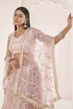 Pale Pink Net Lehenga Choli For Indian & Pakistani Wedding Festival - Sequence Embroidery Work, Thread Embroidery Work