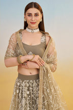 Grey Beige Net Lehenga Choli For Indian & Pakistani Wedding Festival - Thread & Sequins Embroidery Work