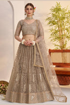 Beige Net Lehenga Choli For Indian & Pakistani Wedding Festival - Sequins & Thread Embroidery Work