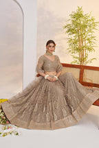 Beige Net Lehenga Choli For Indian & Pakistani Wedding Festival - Sequins & Thread Embroidery Work