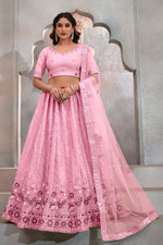 Baby Pink Net Lehenga for Women & Choli  for Sangeet Ceremony - Thread & Sequence Embroidery Work