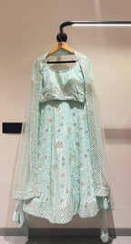 Light Pista Net Lehenga Choli For Indian Festivals & Weddings - Thread Embroidery Work, Mirror Work, Zari Work, Zarkan Work