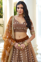 Brown Net Embroidered Lehenga Choli For Indian Festival & Weddings - Thread Embroidery Work, Sequence Embroidery Work