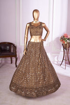 Brown Net Lehenga Choli For Indian & Pakistani Wedding Festival - Sequins & Thread Embroidery Work