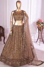Brown Net Lehenga Choli For Indian & Pakistani Wedding Festival - Sequins & Thread Embroidery Work
