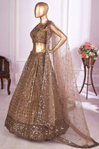 Brown Net Lehenga Choli For Indian & Pakistani Wedding Festival - Sequins & Thread Embroidery Work