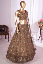 Brown Net Lehenga Choli For Indian & Pakistani Wedding Festival - Sequins & Thread Embroidery Work