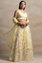 Yellow Net Pastel Lehenga Choli with Sequins and Thread Work