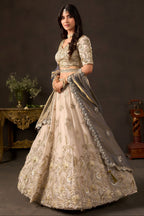 Detail of light beige fendy silk dupatta, zari and sequin embroidered border.