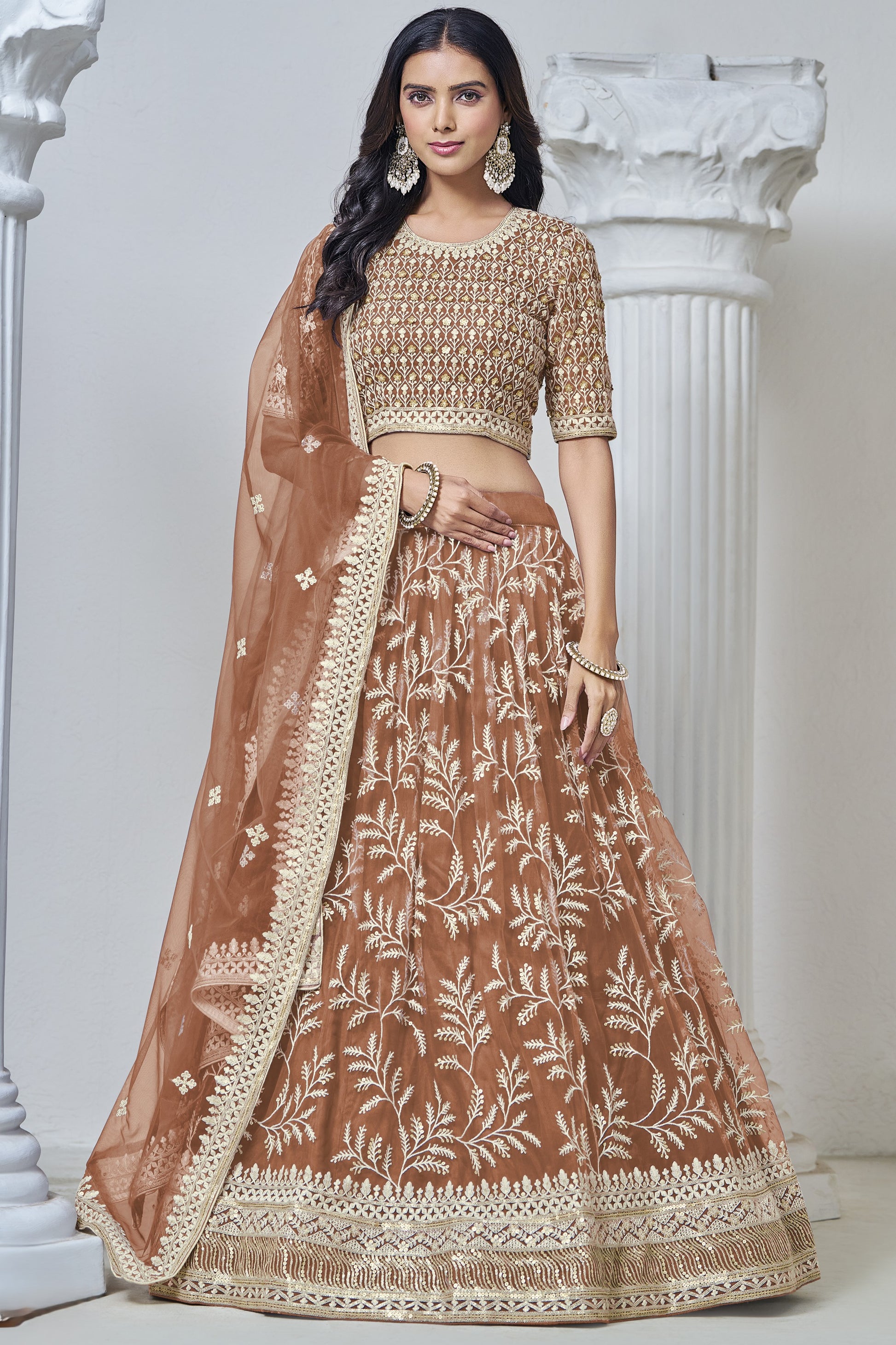 Light Brown Net Lehenga Choli For Indian Festival & Weddings - Sequence Embroidery Work, Thread Embroidery Work