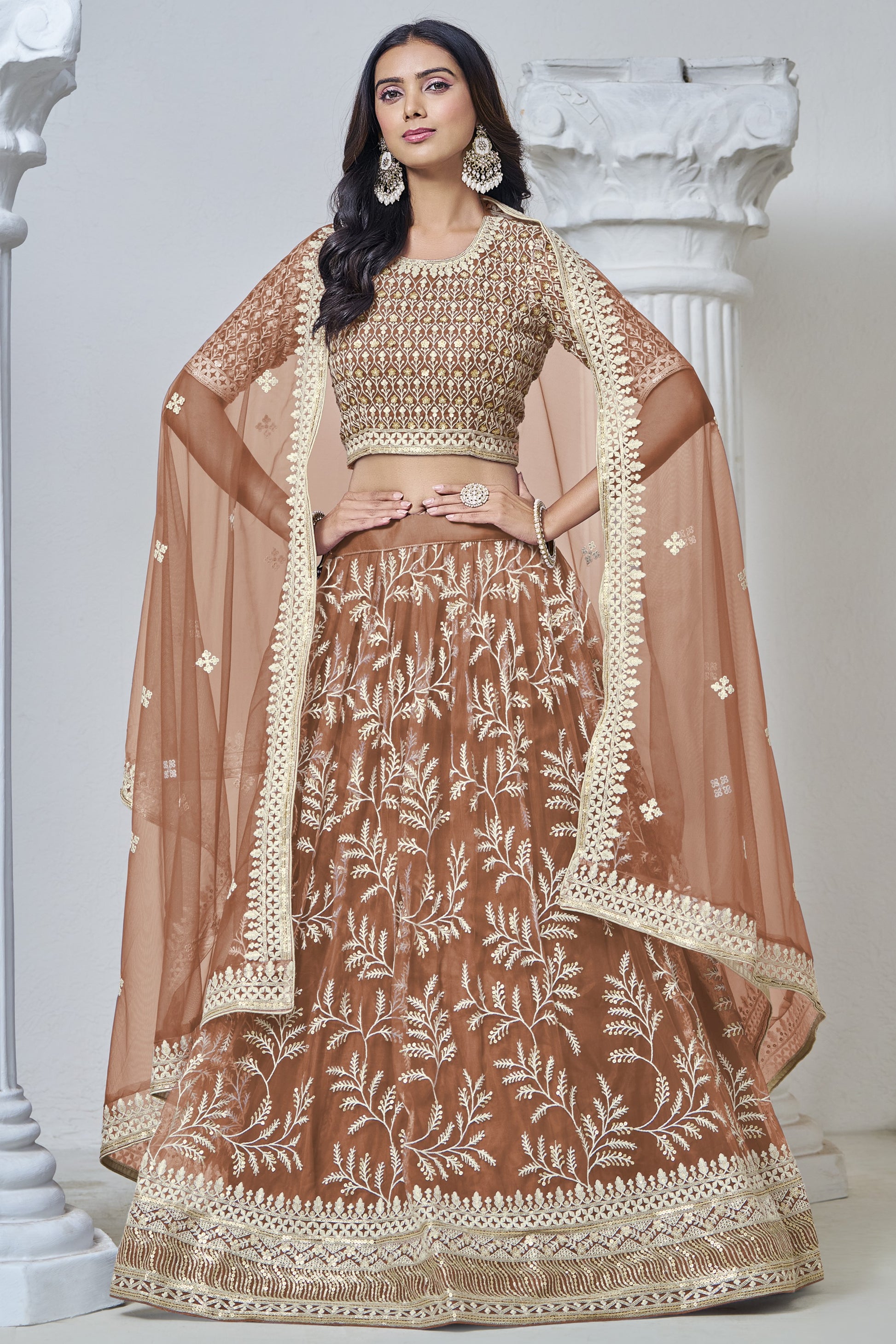 Light Brown Net Lehenga Choli For Indian Festival & Weddings - Sequence Embroidery Work, Thread Embroidery Work