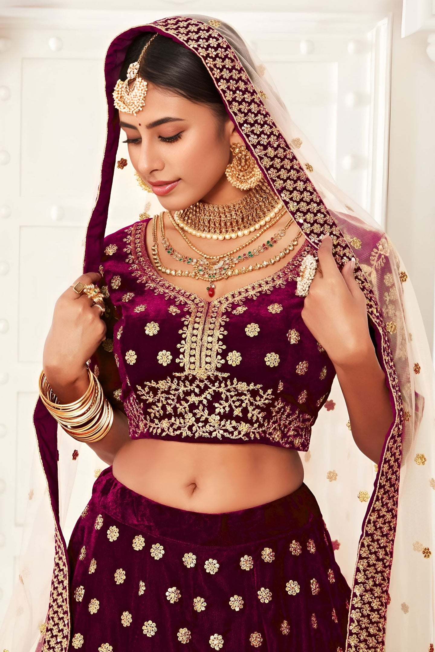 Plum Velvet Lehenga Choli with Zari and Sequin Embroidery