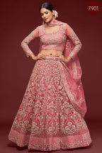Rani Net Pastel Lehenga Choli with Zari and Dori Work