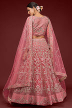 Rani Net Pastel Lehenga Choli with Zari and Dori Work