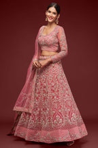 Rani Net Pastel Lehenga Choli with Zari and Dori Work