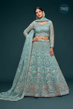 Firoji Net Pastel Lehenga with Zari and Dori Embroidery
