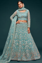 Firoji Net Pastel Lehenga with Zari and Dori Embroidery