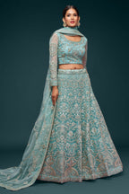 Firoji Net Pastel Lehenga with Zari and Dori Embroidery