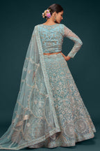 Firoji Net Pastel Lehenga with Zari and Dori Embroidery
