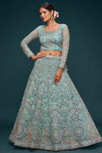 Firoji Net Pastel Lehenga with Zari and Dori Embroidery