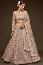 Cream Net Pastel Lehenga with Zari and Dori Work