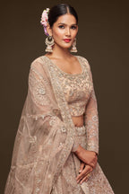 Cream Net Pastel Lehenga with Zari and Dori Work