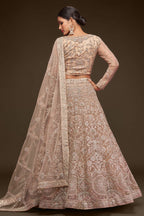 Cream Net Pastel Lehenga with Zari and Dori Work