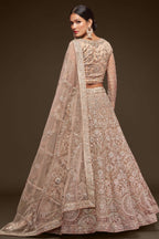 Cream Net Pastel Lehenga with Zari and Dori Work