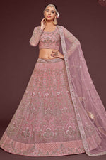 Light Pink Net Pastel Lehenga with Full Sleeve Blouse - Zari & Dori Embroidery