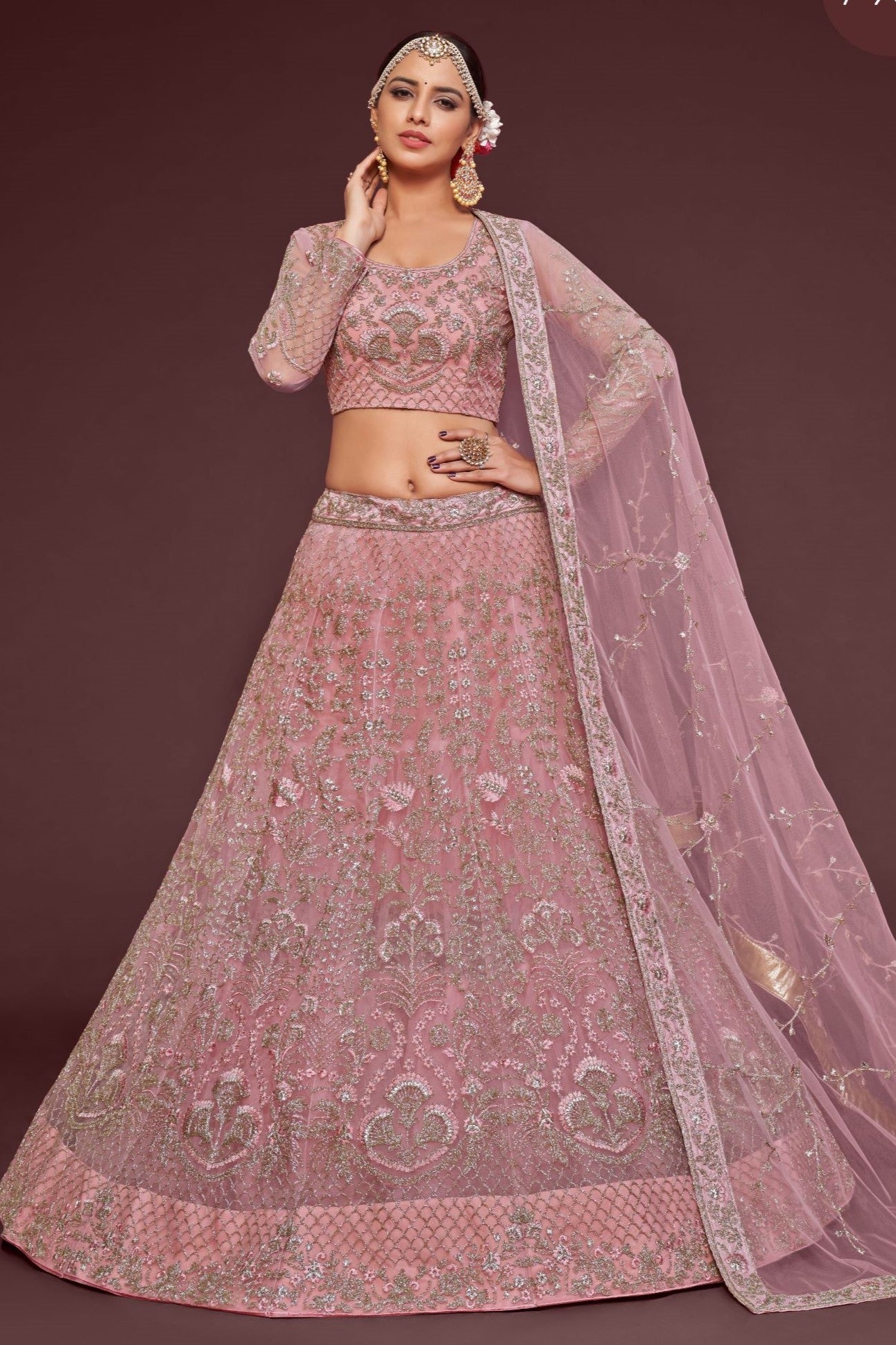 Rose Net Pastel Lehenga with Zari and Dori Embroidery