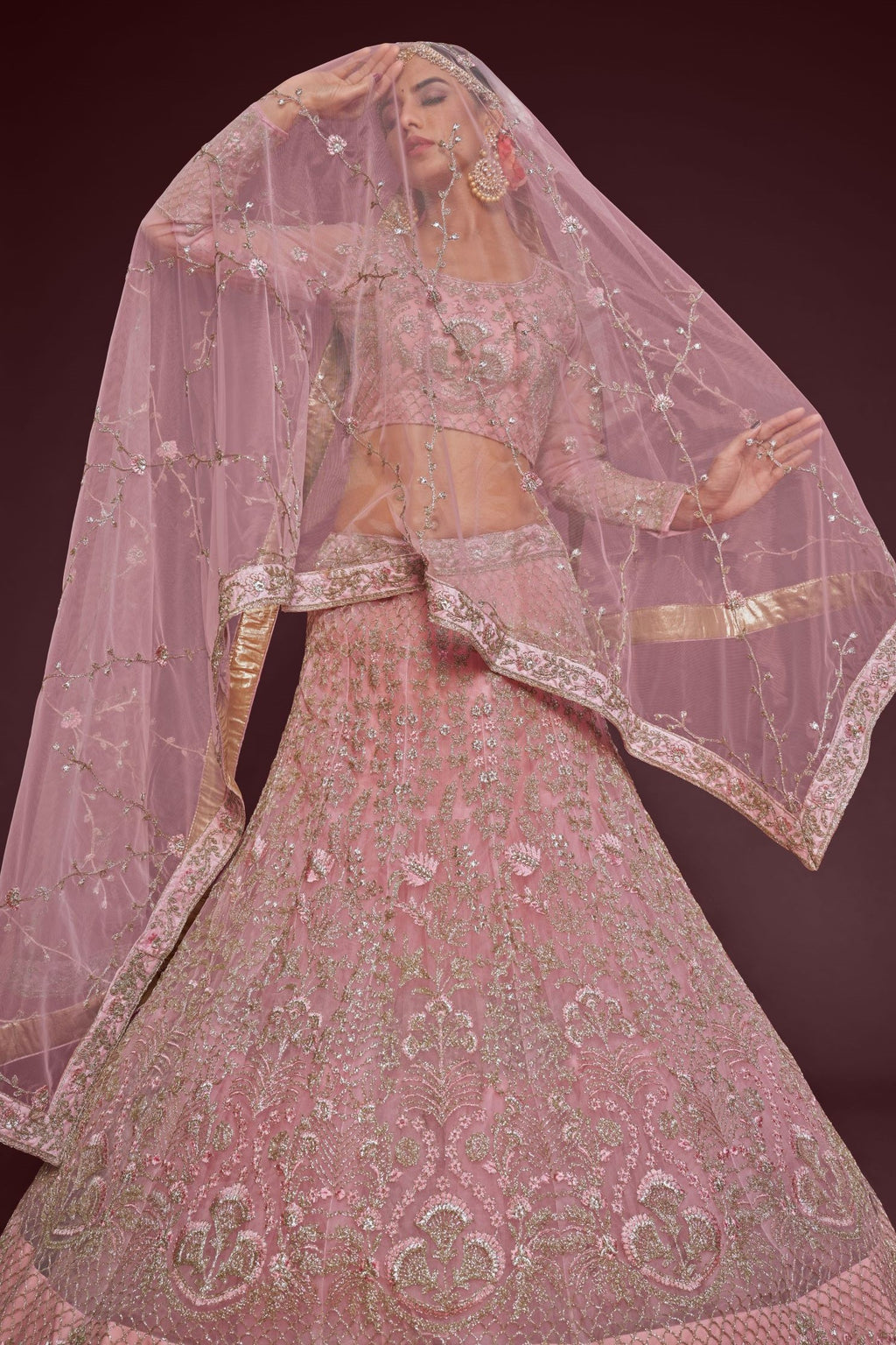 Rose Net Pastel Lehenga with Zari and Dori Embroidery