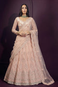 Model wearing a pale peach sangeet lehenga choli with a long-sleeve embroidered blouse, flared net skirt and sheer dupatta on one shoulder.