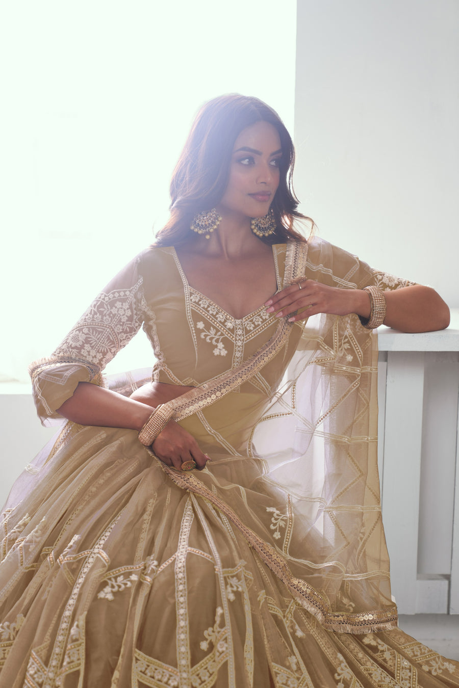 Beige Net Lehenga Choli For Indian & Pakistani Wedding Festival - Thread Embroidery Work, Sequence Embroidery Work
