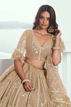 Beige Net Lehenga Choli For Indian & Pakistani Wedding Festival - Thread Embroidery Work, Sequence Embroidery Work