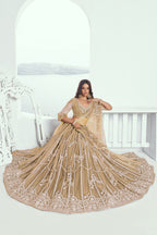 Beige Net Lehenga Choli For Indian & Pakistani Wedding Festival - Thread Embroidery Work, Sequence Embroidery Work