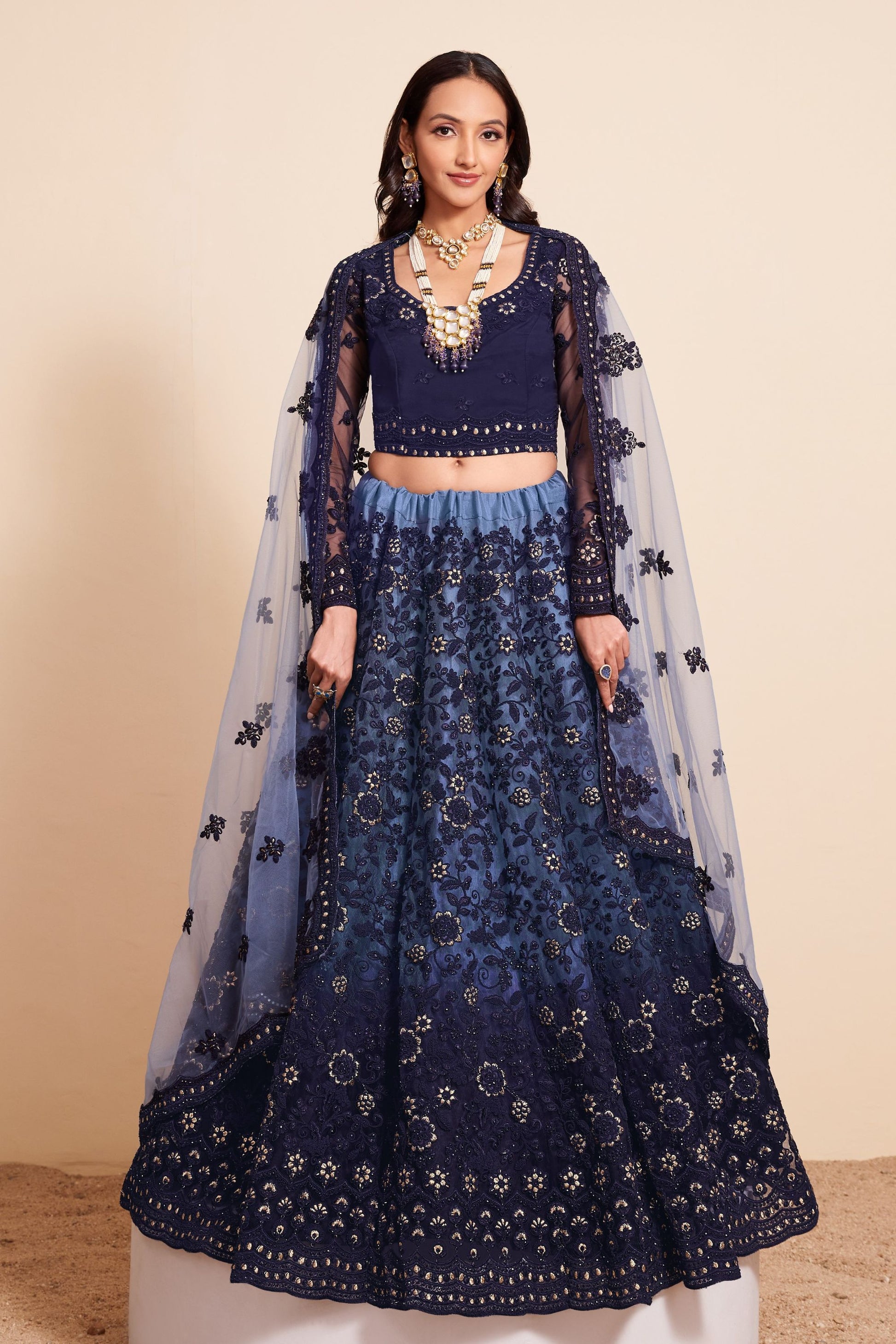 Blue Net Embroidered Floral Lehenga Choli For Indian Festivals & Weddings - Thread Embroidery Work, Badla Work, Butta Work, Cut Work, Stone Embellishment Work